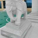 广东 白麻花岗岩动物异形石雕-大象