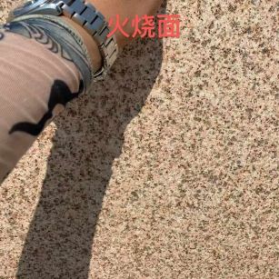 广东黄金麻火烧面