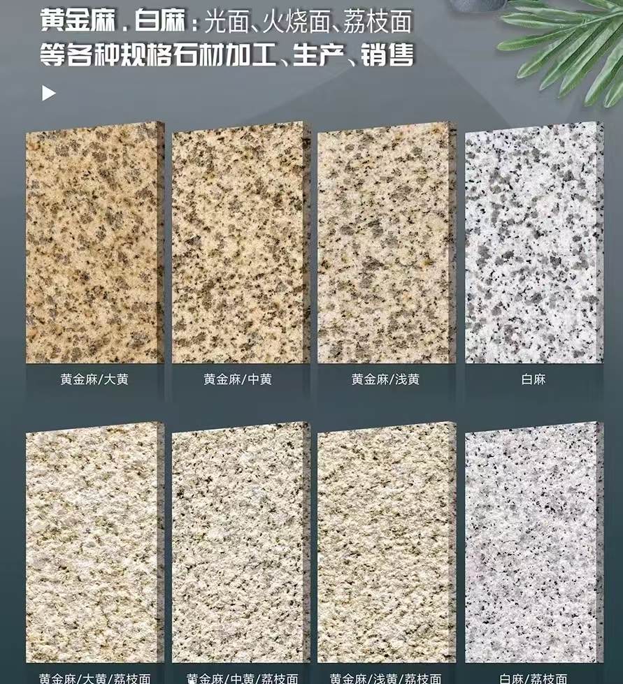 广东 黄金麻白麻样品展示