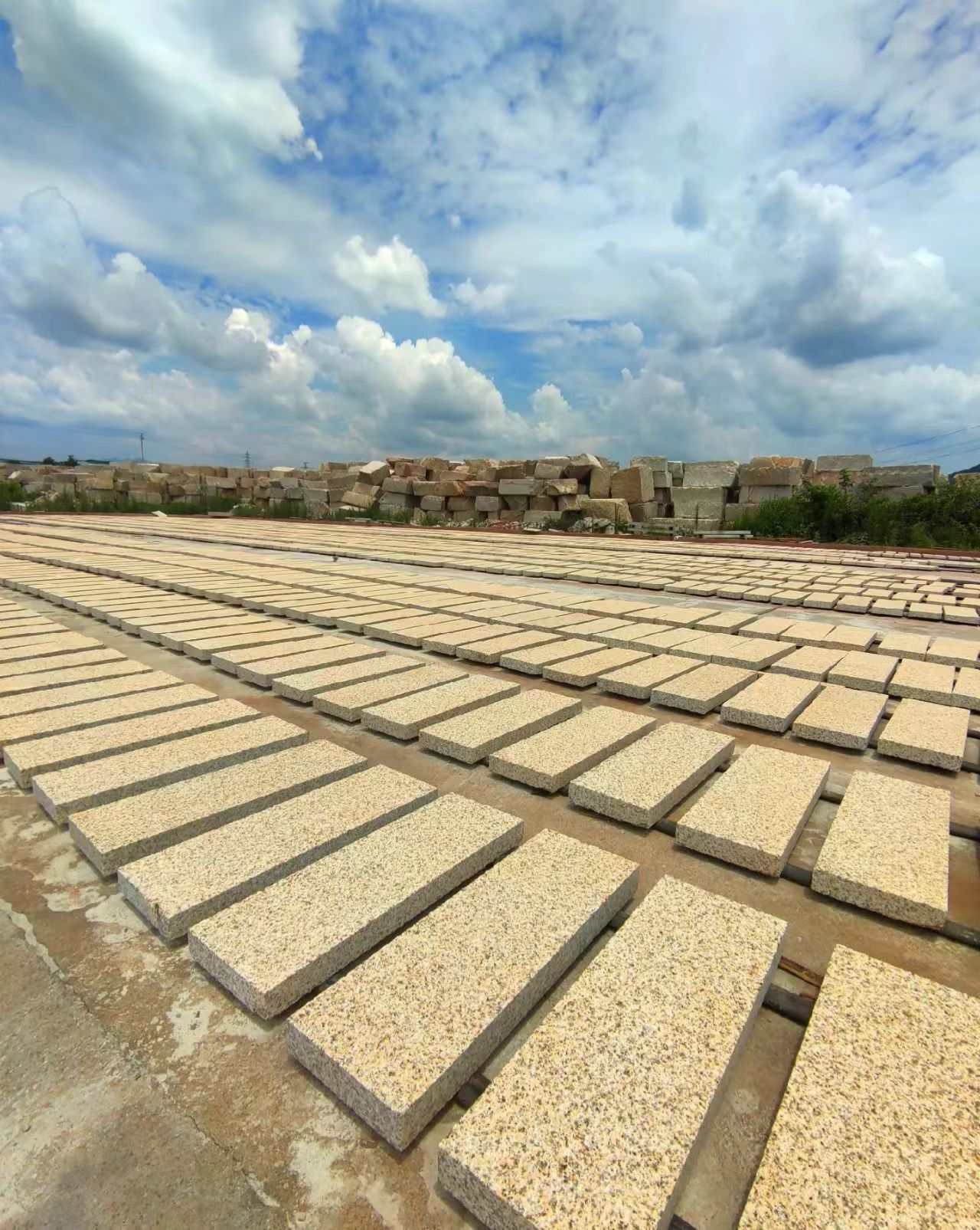 广东 黄金麻花岗岩荔枝面地铺石防护中