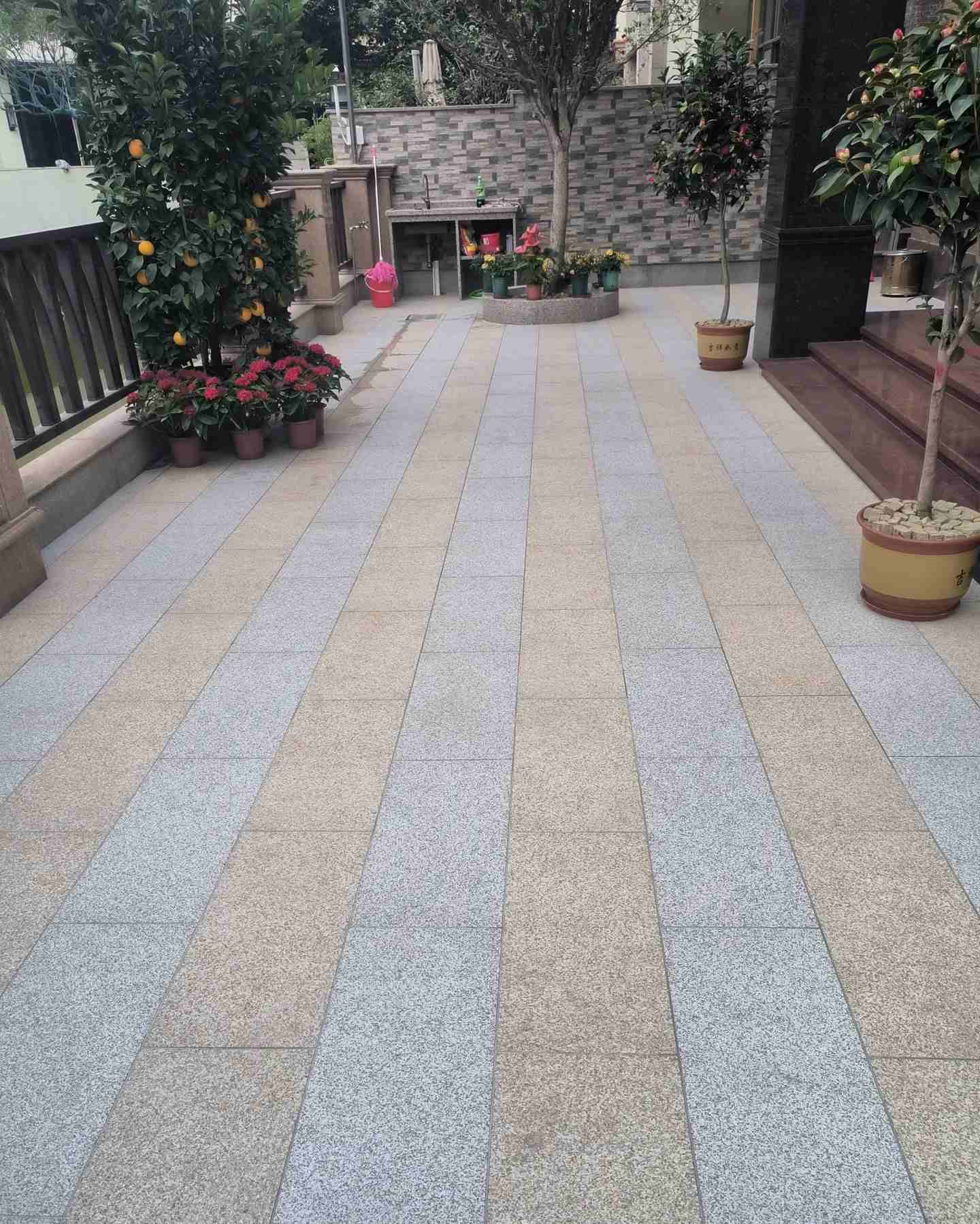 广东 黄金麻白麻荔枝面庭院铺装展示